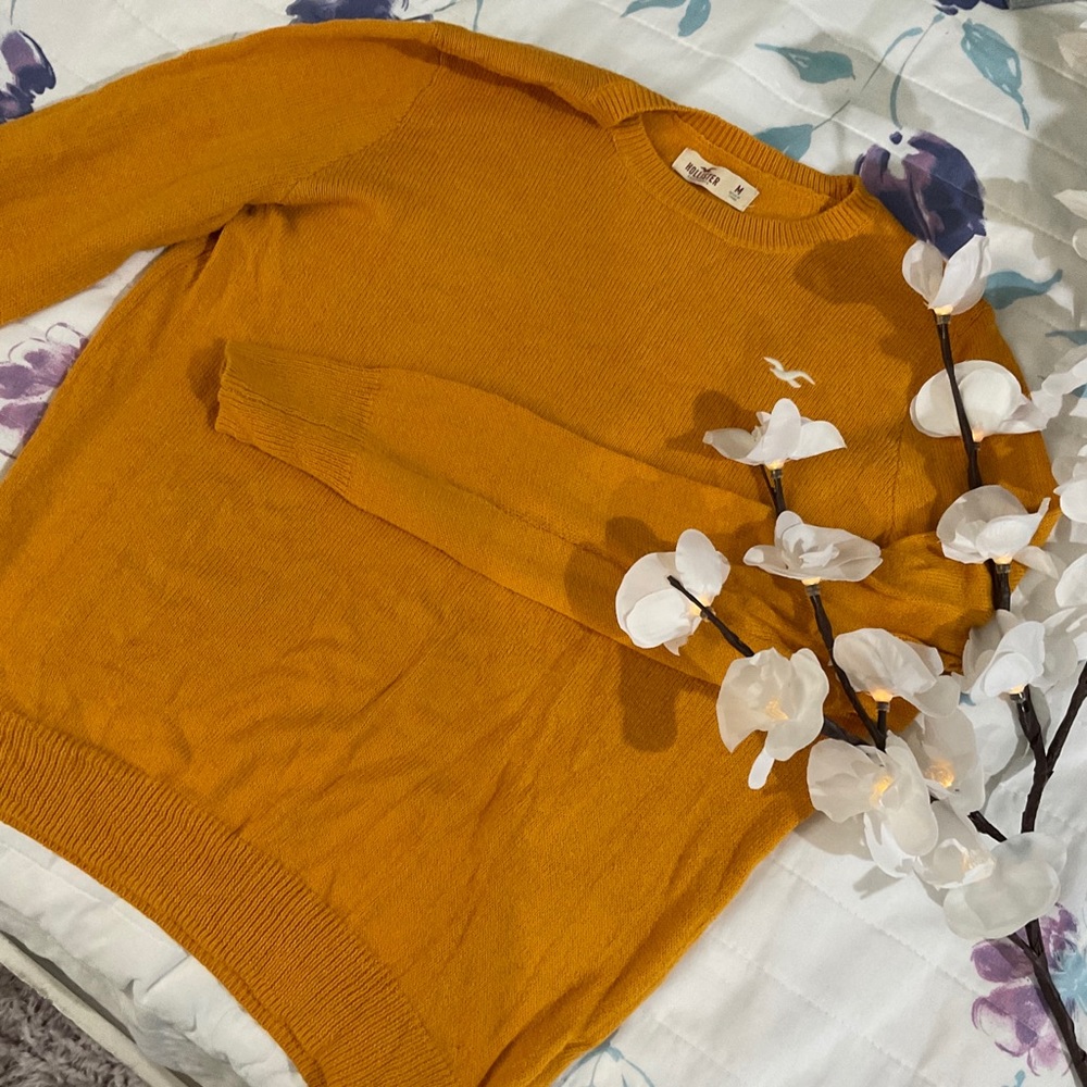 Hollister Golden/Mustard Knit Sweater - Picture 2 of 3